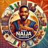 Naija Guy Diaries ็ๅคดๅ