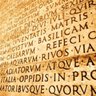 Ipsum profil fotoğrafı