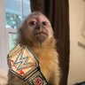 Profilbild von Monubi Wrestling