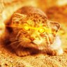 Grendel 2.0 (WGTLKY)'s profile picture