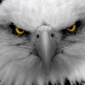Defend The Second's profile picture