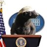 Honey Badger's profile picture