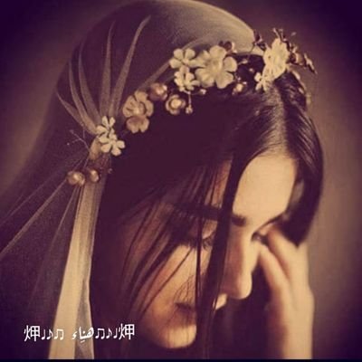 أنثى متمردة's profile picture