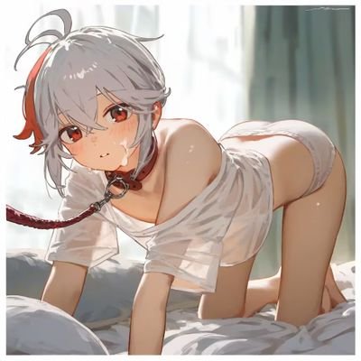 不是涩猫的涩猫's profile picture