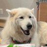 Mike Drop 的头像