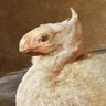 James Dannelley's profile picture