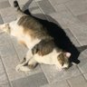 Profilbild von chunky