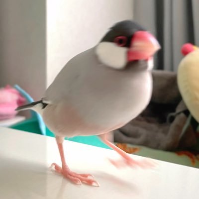 bunchin_tef's profile picture