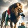 Mohammed's profile picture