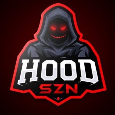 HoodSZN 💰's profile picture
