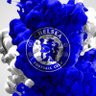 Enzo Fernandez GH💙🔥 的头像