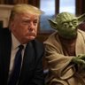 yoda's profile picture