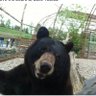 Casual Observer's profile picture