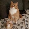 bini's profile picture