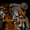 Survival Tigers! ๐๐ฏ๐ค๐งก's profile picture