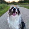Not's profile picture