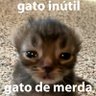 torta de frango's profile picture