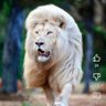🏆 ملكي 👑 15 🏆 profil fotoğrafı