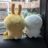 kumi profil fotoğrafı