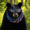Bearturd 的头像
