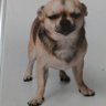 Spooky's profile picture