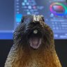 ひじきマン profil fotoğrafı