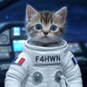 F4HWN Λrmel 🔭 📡 💻 的头像