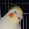 ぷにぃ 的头像