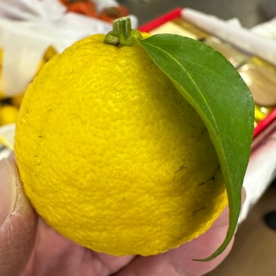 ★ヒロホロ★'s profile picture