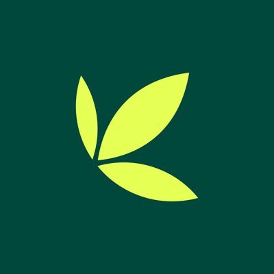Bamboo's profile picture