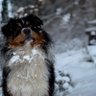 zizirizzu profil fotoğrafı