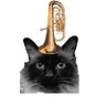 Dr Cat-alina profil fotoğrafı