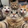 Erkan Çilek  profil fotoğrafı