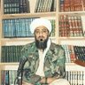 شیخ المجاهدین اسامه( لورنس اسکاتلند) profil fotoğrafı
