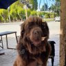 stichpicante profil fotoğrafı
