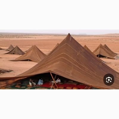 khaldkh30260484's profile picture