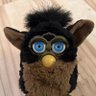 Profilbild von Furby
