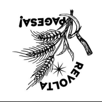 Revoltapagesagirona's profile picture