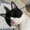 たくちゃん's profile picture