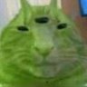 .'s profile picture