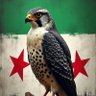 Фото профиля محمد المسعود