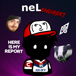 neLendirekt's profile picture