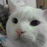 なっちゃん♂🌱 profil fotoğrafı