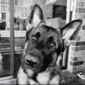 Profilbild von KitDuluCa