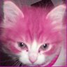 alekis's profile picture