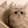 Yuki 🌟 的头像
