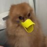Samuel Felipe's profile picture