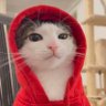 j profil fotoğrafı