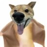 Profilbild von 六根不净
