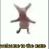 Rodfancy Mamoswine GOAT ❄️❄️❄️ profil fotoğrafı